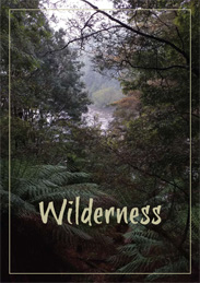 pgm, Wilderness 2021