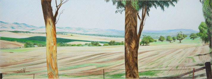drawing, Valley View 2012 colour pencil