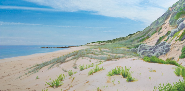 painting, 'Berry Bay, SA (North Beach)' 2008 oil on canvas